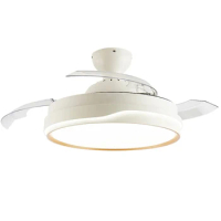 New Arrival Low Noise Strong Wind Dual-Purpose Modern Design Simple Style 42inch Copper DC 36W Ceiling Fan Light