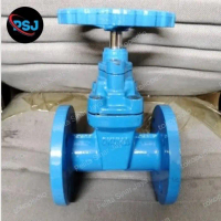 Gate Valve Cast Iron PN16 DN65 / Gate Valve Resilient 2,5\ inch"