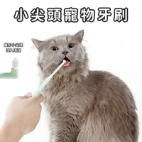 『台灣x現貨秒出』錐形小尖頭寵物牙刷 寵物潔牙 清潔牙齒 貓咪牙刷 狗狗牙刷