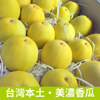 【仙菓園】溫室美濃香瓜 單顆約270g 原箱裝6kg 一箱約20~22顆(冷藏配送)