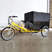 Europe Style Pedal and Electric 3 Wheel Delivery Bike Cargo Tricycle Bike Luggage Carts For Sale