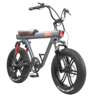 2023 20x4.0'' Fat Bike Tires Rear Rack Lithium Battery Ce V8 48V Lithium Battery Electric Bicycle Rear Hub Motor DYU 7 Speed 20"