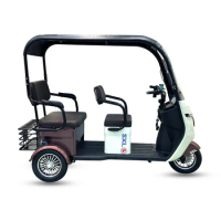 Customized plant services for adult electric tricycles with dual wheel hub motors, electric tricycles for children aged