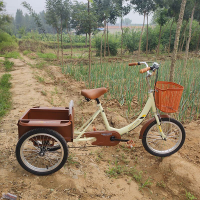 Fengjiu Pedal Tricycle Elderly Human Leisure Travel Car Shopping with Bucket Folding Three-Wheel