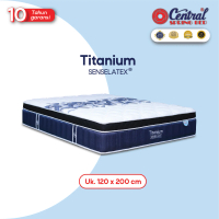 Springbed central uk 120x200 central titanium matras only