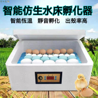 110V 12V 雙電 半自動孵化器 孵蛋機 智能型傢用孵蛋器 照蛋燈 智能水牀 小型  孵蛋器 孵化箱