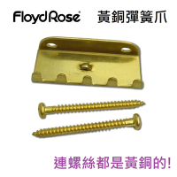 Floyd Rose Brass Tremolo Spring Claw 黃銅 大搖 小搖 搖座 通用 彈簧爪 螺絲組