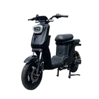 Profession electric scooter 1000w fastest electric scooter 48V adult scooter electric