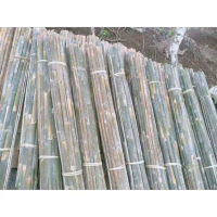 7 bilah Bambu ajir penyangga tanaman 80 cm bilah bambu kualitas bagus