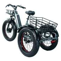 Poland Stock Hot Sales Electric Cargo Bike 48V, 10.4 Ah Electric Tricycles 3 Wheel Electric Cargo Bike custom