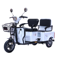 Fat Bike Electric panel rickshaw car camper electric tricycle petrol 3 wheel motorcycle trike folding tricycle trike tricycle