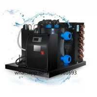Heat Pump 1 Hp Aquarium Ice Bath Chiller Water Chiller 1/2 1/3 500L Portable Cold Plunge