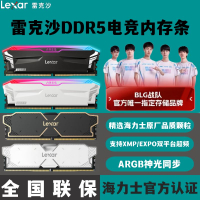【千羽家居】雷克沙DDR5內存 戰神之刃16G*2 32G6400海力士A-DIE臺式機RGB燈條
