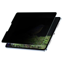 【SOBiGO】iPad 2024 9H鋼化玻璃 AIR/PRO13吋(滿版2.5D 防偷窺)