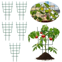 【Planter】5個裝園林塑膠植物支撐架(爬藤支架 園藝工具 植物支撐架 爬藤支架 園藝工具 月季支架)