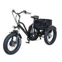 20 Inch Fat Tire Steel 7 Speed Adult Tricycle Double Disc Brake Human Pedal Snow Tricycle For Adult With Basket