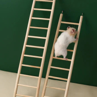 Hanging decoration climbing ladder Parrot toy bird supplies hamster toy