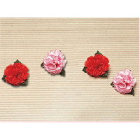 【文具通】康乃馨胸花[小] K2010009