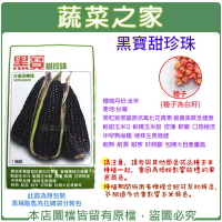 【蔬菜之家】G26.黑寶甜珍珠糯玉米種子(共兩種包裝可選)