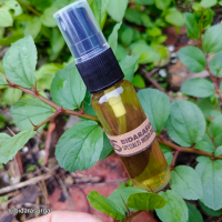 Minyak Daun Bidara Ruqyah Original Plus Zaitun dan Kayu Putih 50ml - Alami