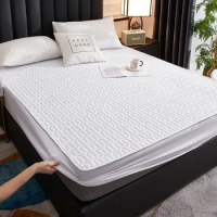 Waterproof Thicken Mattress Cover Skin-friendly Fitted Sheet Bed Cover Latex Mat Mattress Protector Pad Double Queen King Size