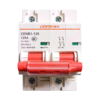 CENB1-125 2P 120V DC Circuit breaker battery Car Protector Mini Circuit Break 125A 100A 80A 63A thermal Magnetic trip B curve
