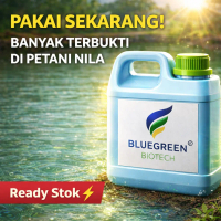 Nitrobacter Ikan Nila Penghilang Bau Amoniak Air Kolam Tanpa Kuras