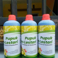 Pupuk agro lestari mempercepat pertumbuhan tanaman pembuahan sayur dan bunga sehingga buah nya lebat