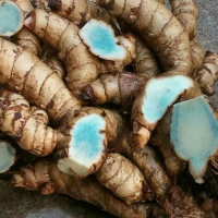 temu hitam atau kunyit hitam temu ireng segar 1kg
