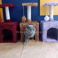 RUMAH KUCING 1 TIANG GARUKAN