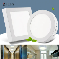 AC85-265V LED Panel Light Round/Square Surface Mounted panel led Ceiling lamp 6W 12W 18W 24W LED Panel Downlights with Driver AE