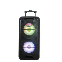 double 10inch portable system speaker with rechargeable battery
