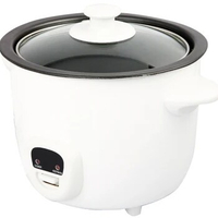 Electric Mini Rice Cooker 0.5L Capacity Rice Cooker XJ-10113