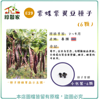 【綠藝家】E23.紫蝶紫翼豆種子6顆