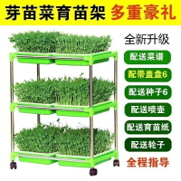 芽苗菜 育苗架子 育苗盤 水培 蔬菜 加密盤 生豆芽 發芽盆 帶蓋 豌豆 生芽盆