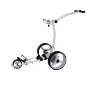 2022 New product custom logo battery X2E golf cart scooter trolley