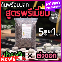 Premium cactus ground with premium planted soil cactus soil cactus ground with ready to ship clay pl