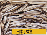 【 天天來海鮮】日本🇯🇵大丁香魚 淨重500公克/盒