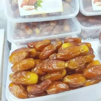 Kurma Tunisia NON TANGKAI 1Kg Snack Madu Tunisa Kualitas Terbaik Lembut Basah Daging Tebal Rasa Mani
