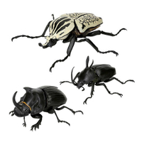 萬代 扭蛋 生物大圖鑑 P5 獨角仙 東方歌利亞 大聖甲蟲 緬甸甲蟲三款一組日版現貨