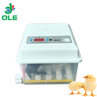 Mini Chick Egg Hatch Machine Small Incubator Egg Hatching Machine