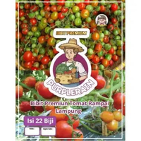 Bibit Premium Tomat Rampai Lampung | Benih Tomat Rampai