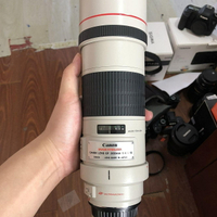 佳能 EF 300mm f/4L IS USM 長焦鏡頭300 F4 L遠攝單反全畫幅定焦