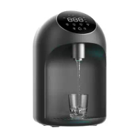 Direct Drinking Electric Mini Automatic Wall Mounted Water Dispenser