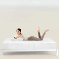 Double Soft Queen Mattresses High Quality Thickness King Size Bedroom Twin Mattress Foldable Spring Colchon Bedroom Furniture
