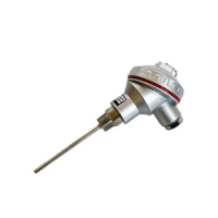 PT100 PT1000 Rtd 316 Stainless Tube Mineral Insulated Temperature Sensor