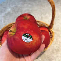 【舒果SoFresh】紐西蘭富士蘋果#70s(16顆/約4kg/箱)