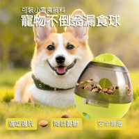 【A-MORE】狗狗益智不倒翁寵物漏食球(寵物飼料餵食器 搖晃漏食器)