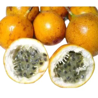 Buah markisa manis - markisa konyal 1 kg buah-buahan  segar buah   Makanan