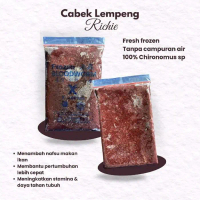 Cabek Cacing Beku Blood Warna Richie 1 kg 2 lempeng(Khusus SAMEDAY dan INSTANT) - 500gr 1 Lempeng